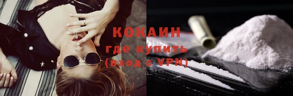 твердый Кукмор