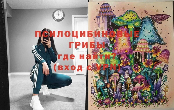 твердый Кукмор