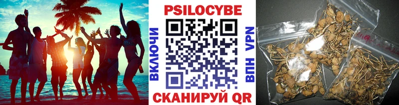 Псилоцибиновые грибы GOLDEN TEACHER ОМГ ОМГ вход Ува хочу